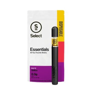 Buy Gelato Disposable Pen